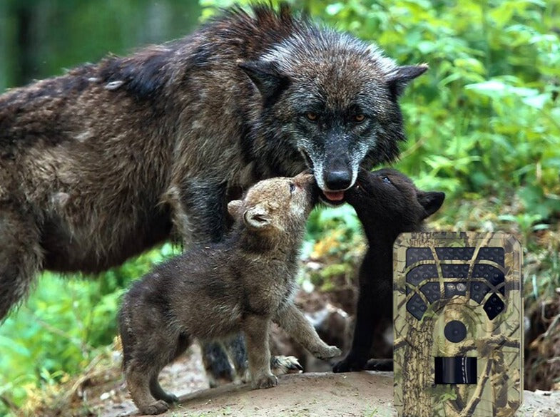 Vimora™ 12MP 1080P Wildlife Trail Hunting Camera