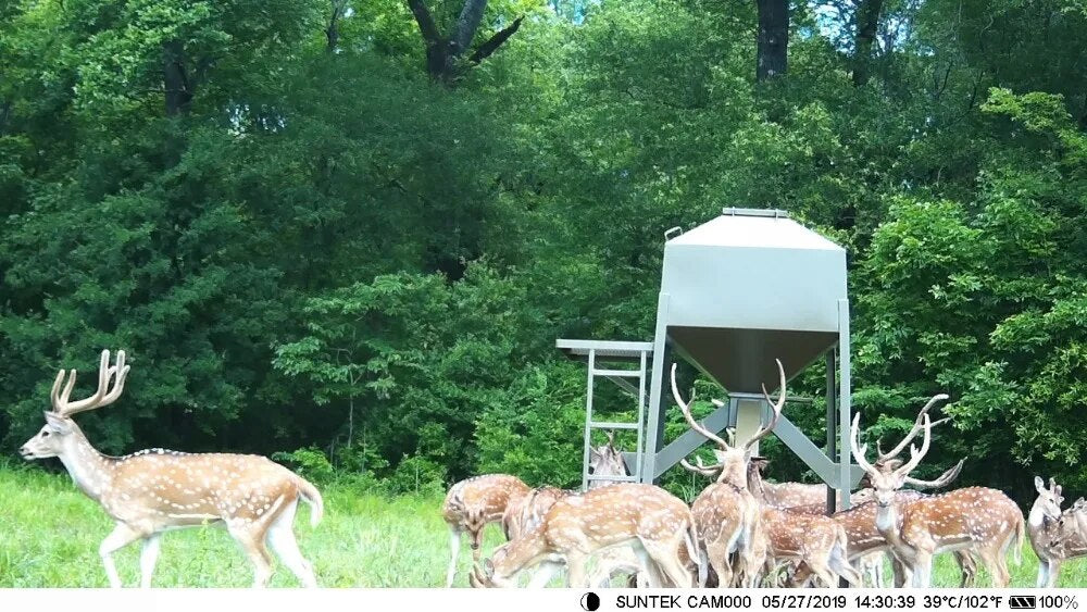 Vimora™ Wildlife Hunting Trail Camera