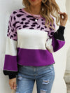 Angel Wings Color Block Round Neck Sweater