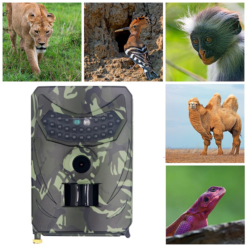 Vimora™ 12MP Night Vision Trail Camera