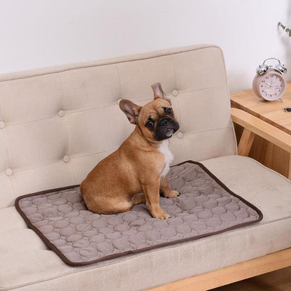 Pet Summer Cooling Mat