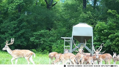 Vimora™ Wildlife Hunting Trail Camera