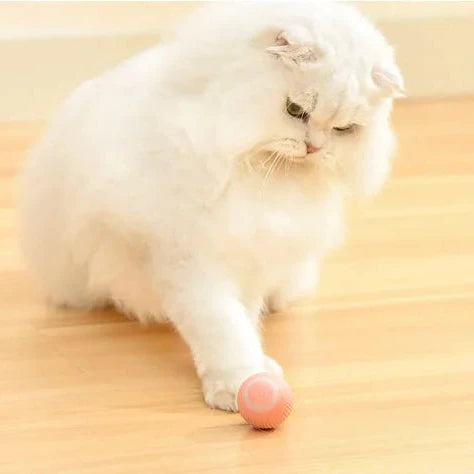 Interactive Hunting Cat Toy™ - Best Interactive Toy for Active Cats and Kittens 1