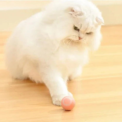 Interactive Hunting Cat Toy™ - Best Interactive Toy for Active Cats and Kittens 1