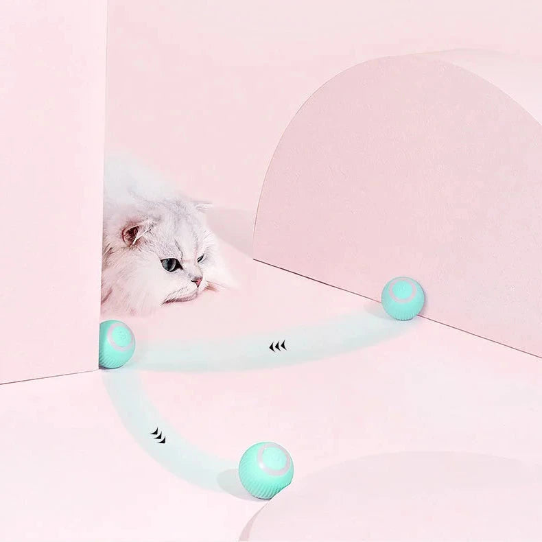 Interactive Hunting Cat Toy™ - Best Interactive Toy for Active Cats and Kittens 4