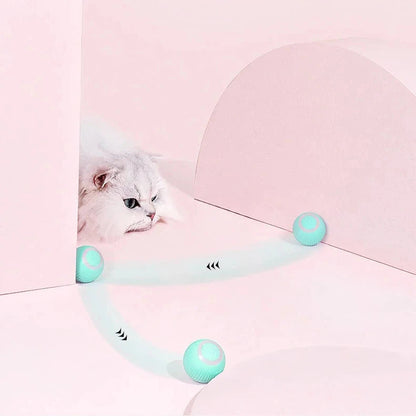 Interactive Hunting Cat Toy™ - Best Interactive Toy for Active Cats and Kittens 4
