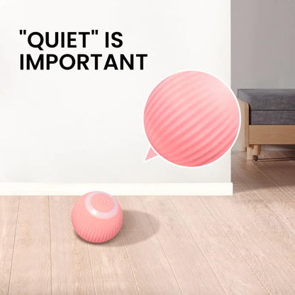 Interactive Hunting Cat Toy™ - Best Interactive Toy for Active Cats and Kittens 6