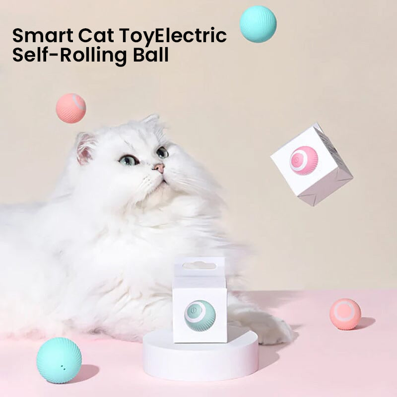 Interactive Hunting Cat Toy™ - Best Interactive Toy for Active Cats and Kittens 7