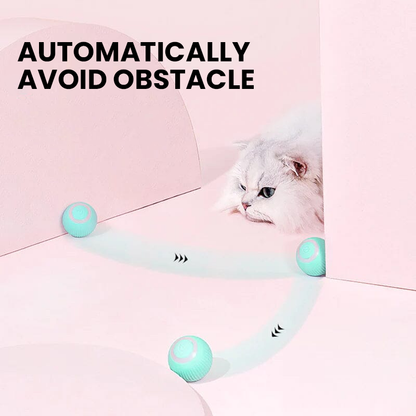 Interactive Hunting Cat Toy™ - Best Interactive Toy for Active Cats and Kittens 8