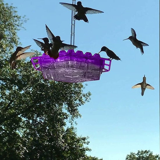 Mary's Feeders™ Ant Proof Hummingbird Feeder - Attract More Birds with Nectar 2