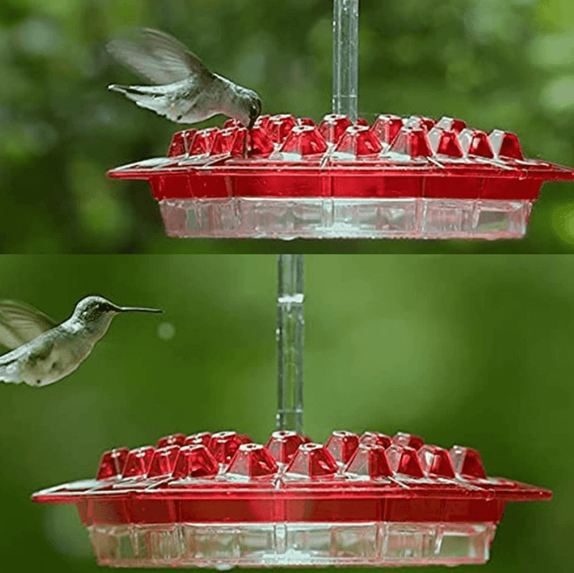 Mary's Feeders™ Ant Proof Hummingbird Feeder - Attract More Birds with Nectar 5