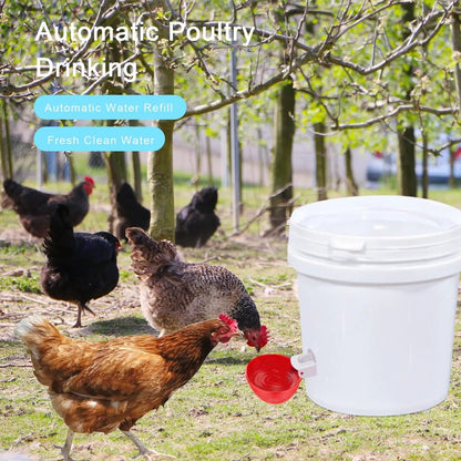 PoultryPro™ 10 Pcs Chicken Waterer - Effortless Hydration for Your Birds 2