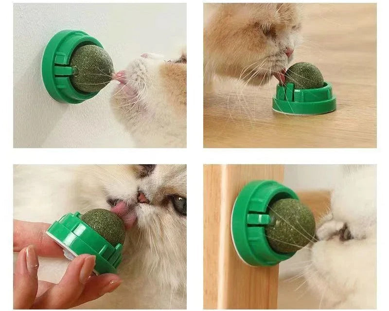 Premium Catnip Balls™ - Interactive Cat Toy for Playful Cats, Promotes Health 3