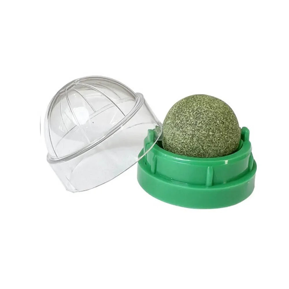 Premium Catnip Balls™ - Interactive Cat Toy for Playful Cats, Promotes Health 4