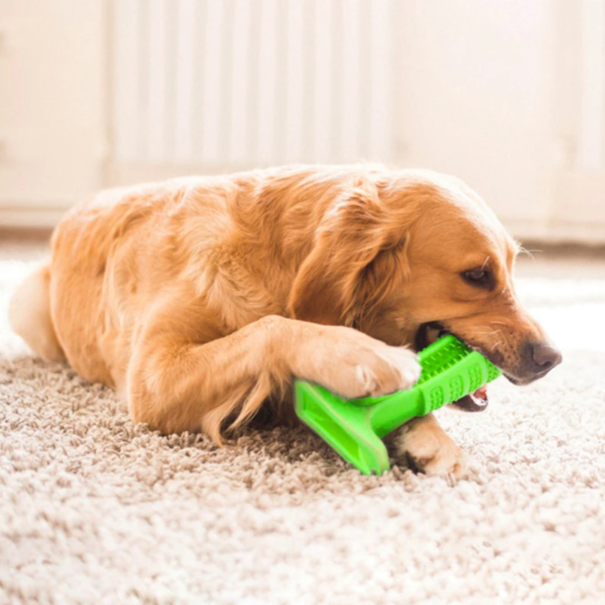 Dog Toothbrush For Clean Teeth and Tooth Decay Prevention