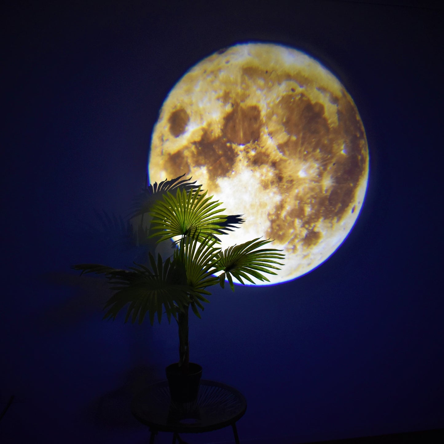 Vimora™ Moon Projection Lamp