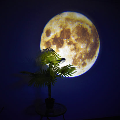 Vimora™ Moon Projection Lamp